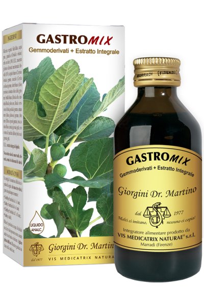 GASTROMIX LIQUIDO ANALC 100ML GASTROMIX LIQUIDO ANALC 100ML