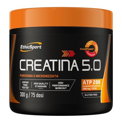 CREATINA 5.0 300G CREATINA 5.0 300G
