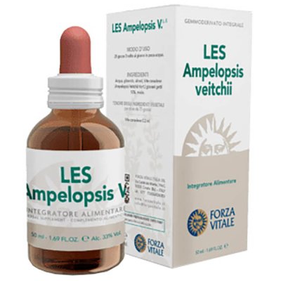 LES AMPELOPSIS WEITCHII GOCCE LES AMPELOPSIS WEITCHII GOCCE