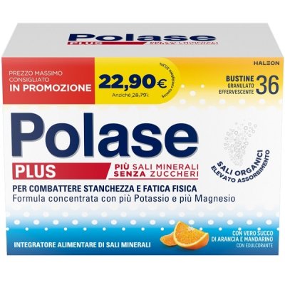 POLASE PLUS 36BUST PROMO 2024 POLASE PLUS 36BUST PROMO 2024