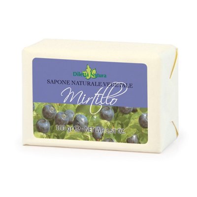 DILETTA N SAP MIRTILLO 100G DILETTA N SAP MIRTILLO 100G