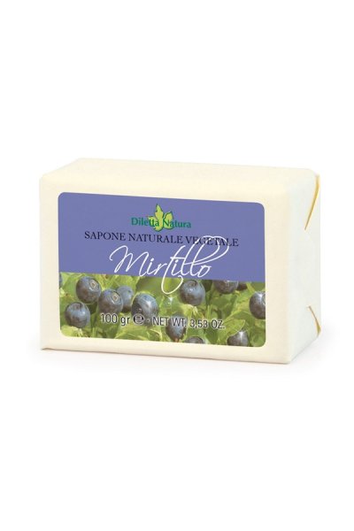 DILETTA N SAP MIRTILLO 100G DILETTA N SAP MIRTILLO 100G