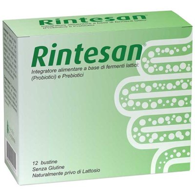 RINTESAN 12BUST RINTESAN 12BUST