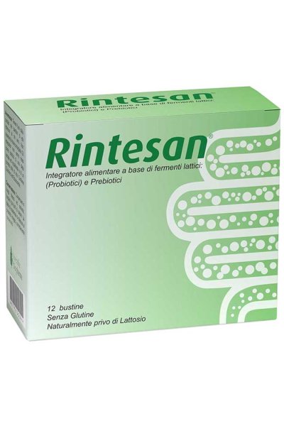 RINTESAN 12BUST RINTESAN 12BUST