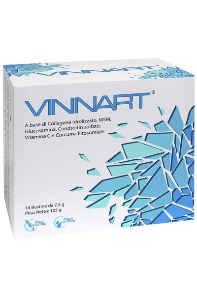 VINNART 14BUST VINNART 14BUST