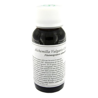 19N ALCHEMILLA VULGAR COMP LVS