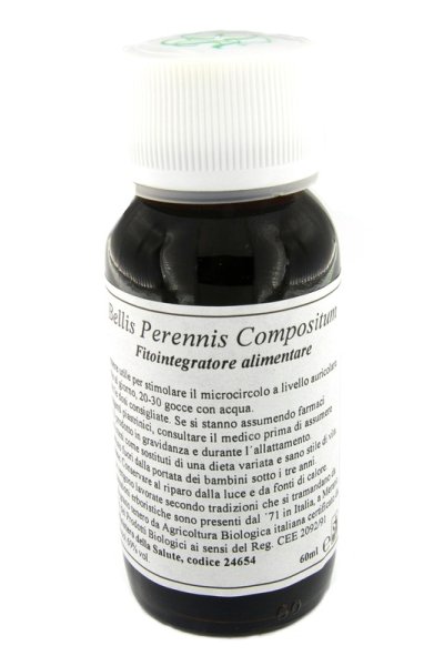 40N BELLIS PERENNIS COMP LVS 40N BELLIS PERENNIS COMP LVS