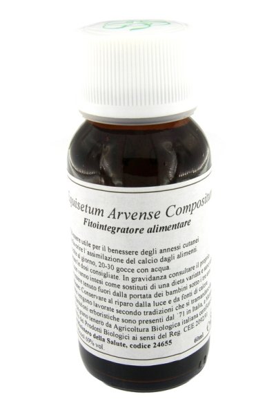 41N EQUISETUM ARVENSE COMP LVS 41N EQUISETUM ARVENSE COMP LVS