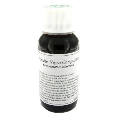43N POPULUS NIGRA COMP LVS