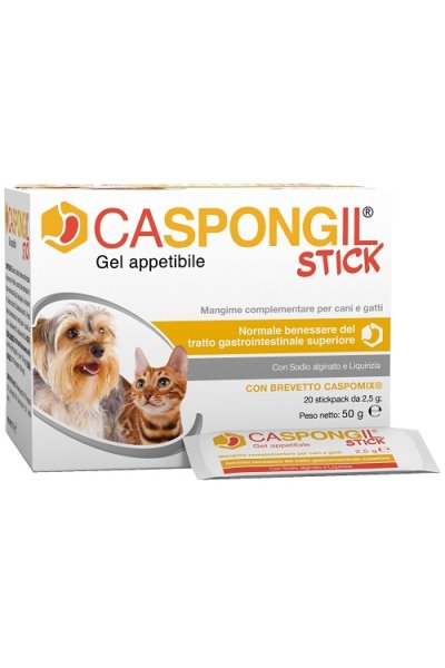 CASPONGIL STICK 20Stick Pack CASPONGIL STICK 20Stick Pack