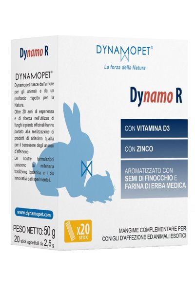 DYNAMO R 20STICK 2 5G DYNAMO R 20STICK 2 5G
