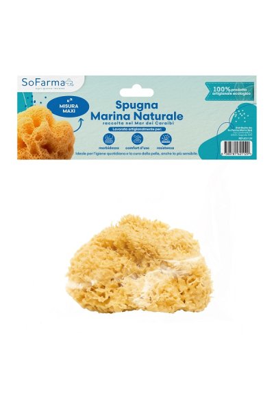 SPUGNA MARINA NATURALE MAXI SF+ SPUGNA MARINA NATURALE MAXI SF+