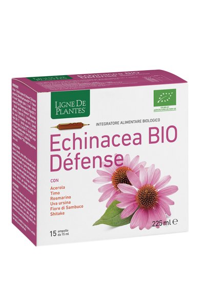 ECHINACEA BIO DEFENSE 15AMP 15 ECHINACEA BIO DEFENSE 15AMP 15