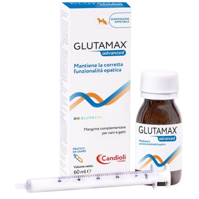 GLUTAMAX Advanced Sosp.60ml